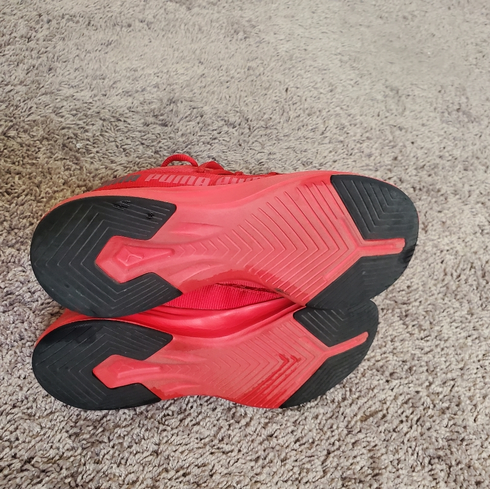 Puma Kicks - Picture 5 of 8